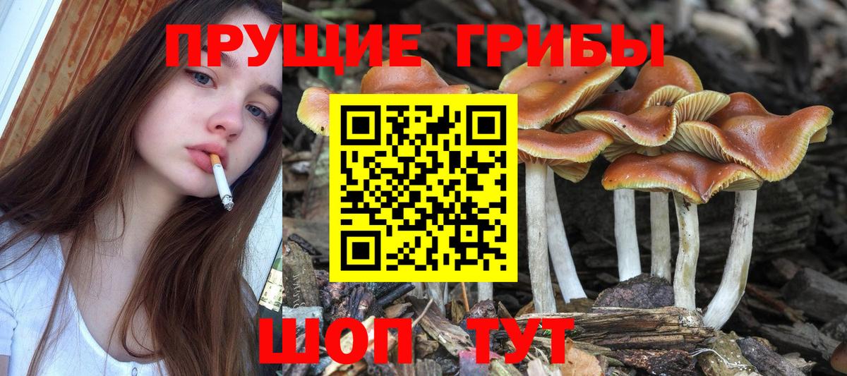 Псилоцибиновые грибы MAGIC MUSHROOMS Владивосток